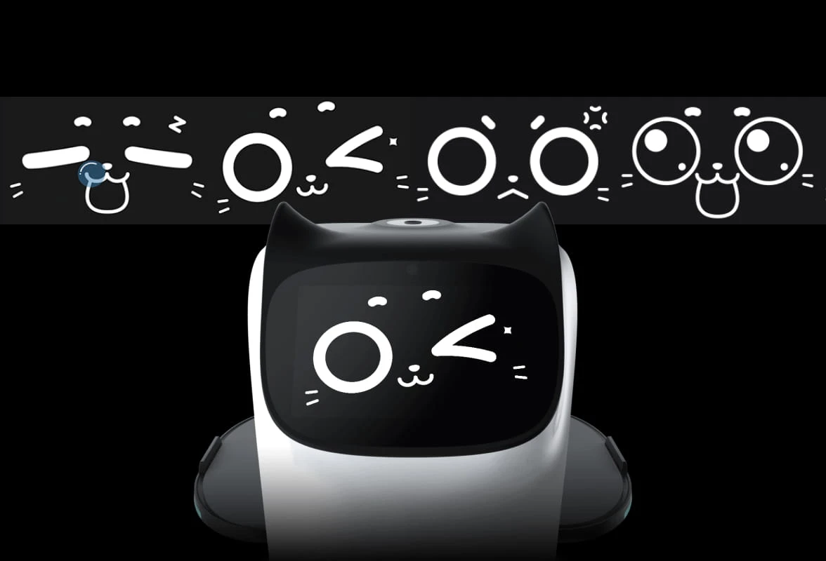 BellaBot haptic feedback system