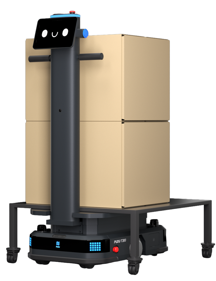 T300 Lifting · WTIDL1